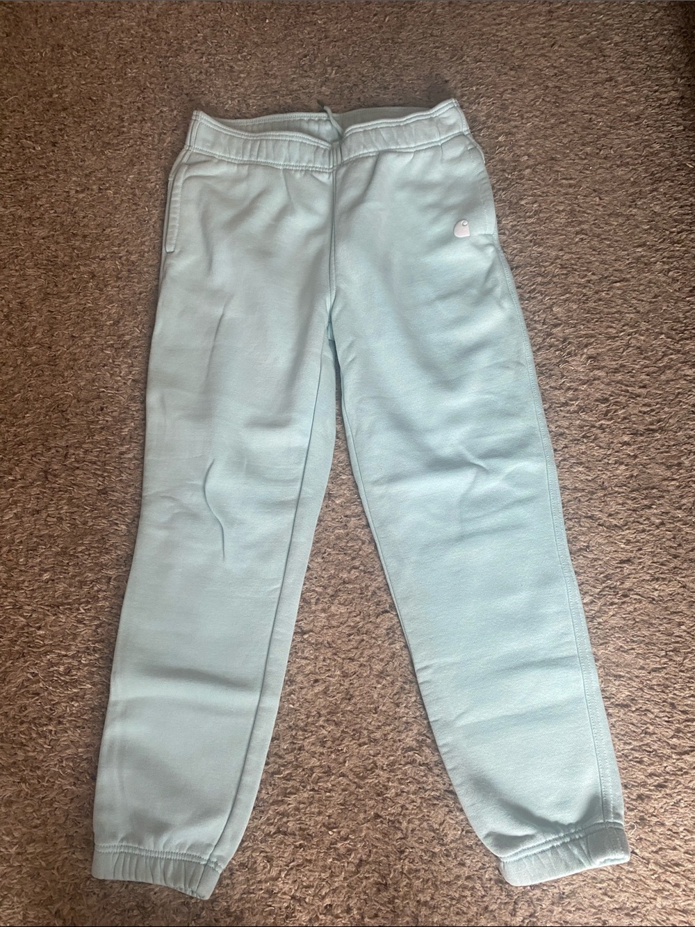 Carhartt Mint Green Women's Jogger Track Pants NWOT